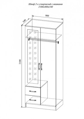 Шкаф двухстворчатый Софи СШК 800.3 в Татарске - tatarsk.mebelnovo.ru | фото